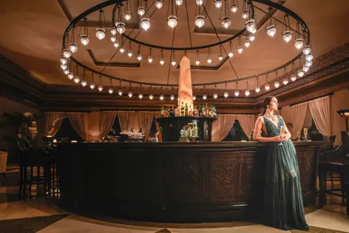 Fairmont Jaipur - Other Facilities - Others 25